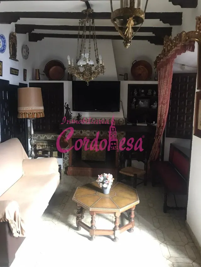 MAGNIFICA CASA SEÑORIAL EN VILLAVICIOSA DE CORDOBA — 6