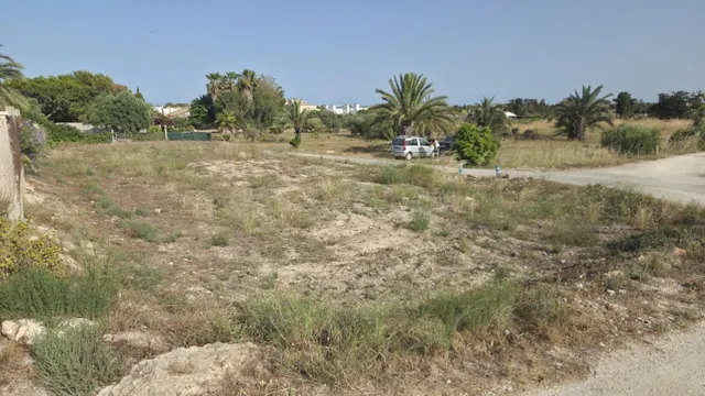SE ALQUILA - Parcela de uso agrario en La Marina, Alicante,  - foto 4