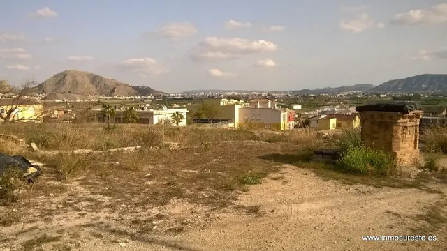 Estupenda finca de 12.441 m2 en Raiguero de Bonanza, pedanía de Orihuela (Alicante), a 2 Km. de Orihuela. — 3