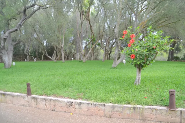 Finca rústica — 18