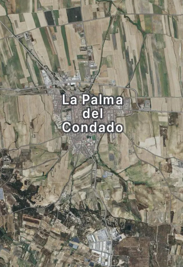 FINCA DE VIÑEDOS Y ÁRBOLES FRUTALES EN LA PALMA DEL CONDADO HUELVA — 4