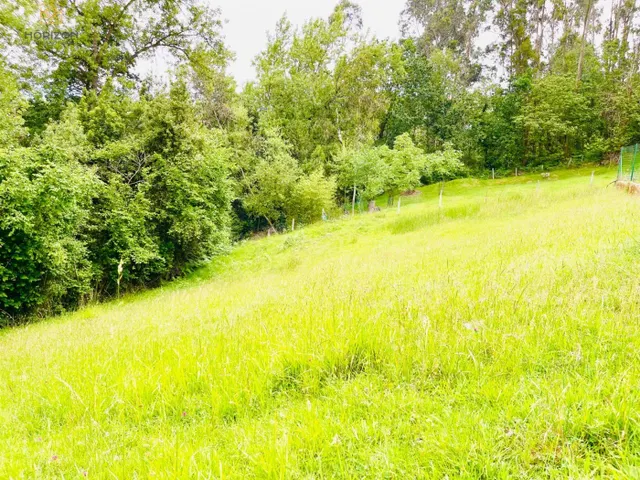 PARCELA EN VENTA EN VARÉ, SIERO - foto 2