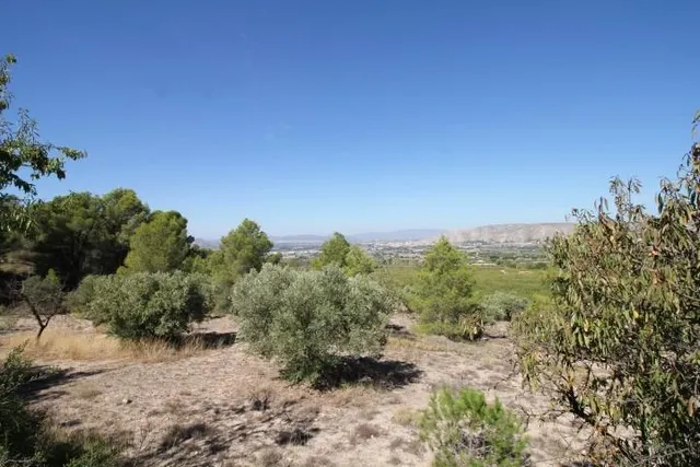 IMPRESIONANTE FINCA DE 30 HECTÁREAS CON TERRENO CULTIVABLE Y VISTAS PANORÁMICAS A VILLENA — 43