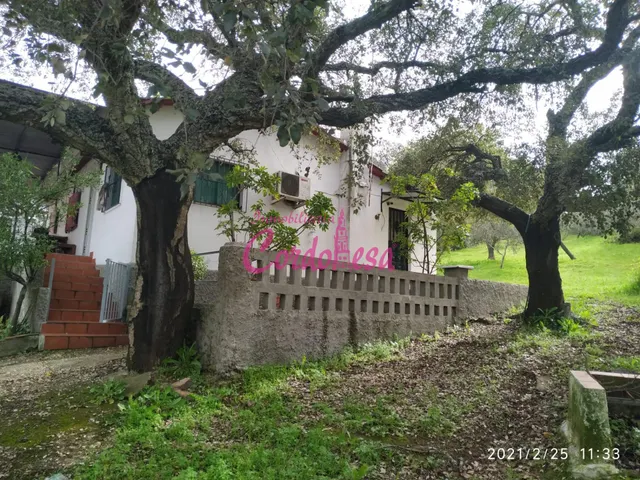 CASA CON TERRENO EN TRASSIERRA — 6