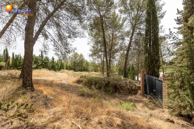 EXCLUSIVO TERRENO EN VENTA EN ALBOLOTE — 15