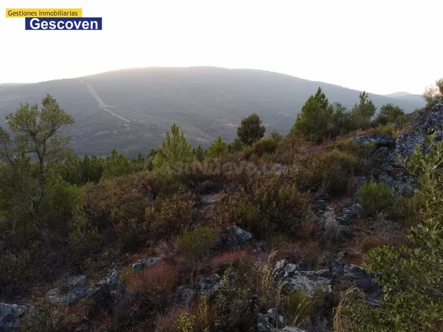 FINCA PAISAJISTICA DE MONTAÑA - foto 4