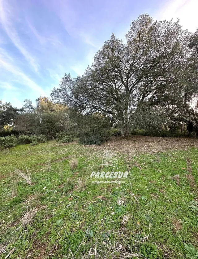 PARCELA EN ZONA ASSUAN MUY BIEN SITUADA DE 6000 m2 aprox. — 2