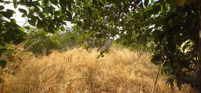 Solar urbano en venta en Ses Salines - foto 3