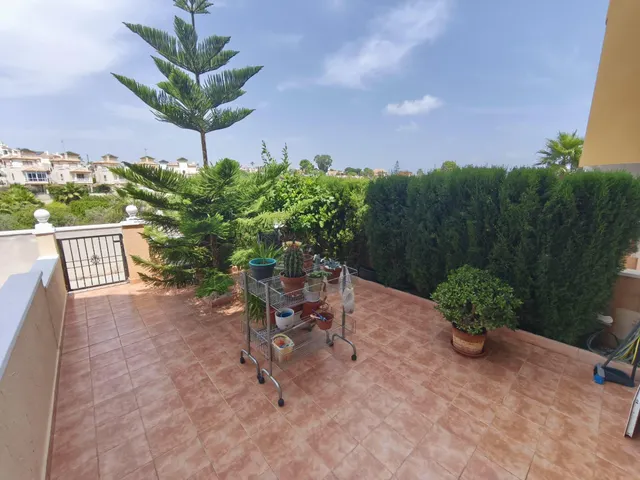 Apartamento de 2 dormitorios 1baño en Orihuela Costa (Alicante )¡Tu oasis en Lomas de Cabo Roig! 🌞🏡 — 21