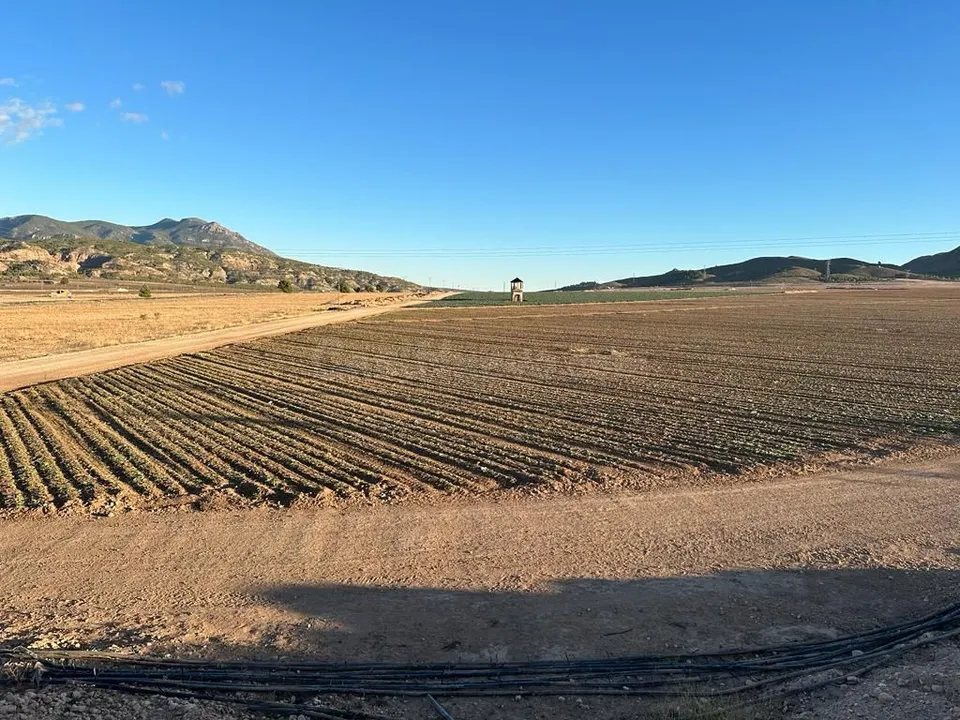 Venta de Finca Rústica en Jumilla - Murcia