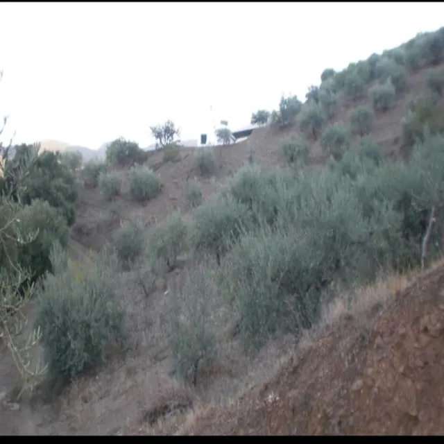 Parcela 40m² en venta - South of spain — 8