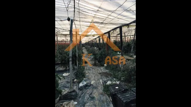 SE VENDE INVERNADERO EN EL EJIDO ZONA PARAJE CUATRO VIENTOS — 5