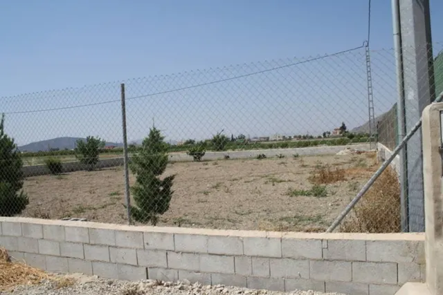 Parcela a las afueras de Orihuela — 8