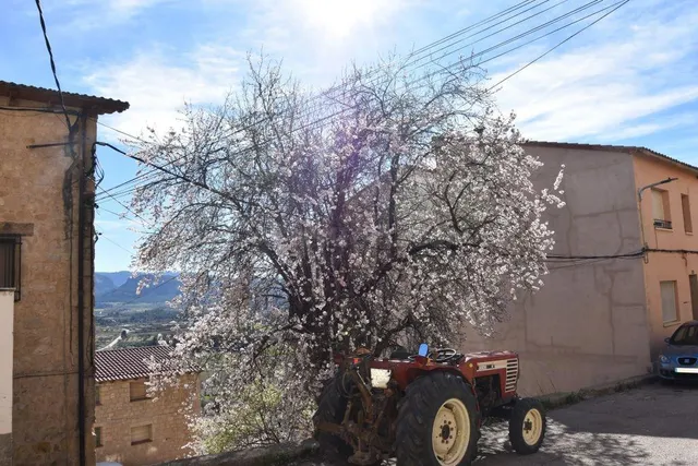 Solar en venta - Horta de sant joan - foto 4