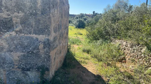 Se vende finca rústica con caseta en Marratxí - foto 4