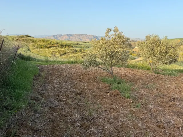 TERRENO RURAL EN VENTA - foto 5