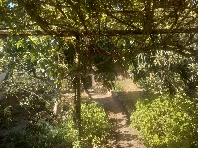 ¡¡ATENCIÓN EMPRENDEDORES !! - foto 5
