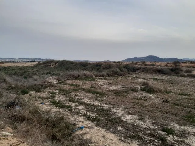 Terreno Rural — 5