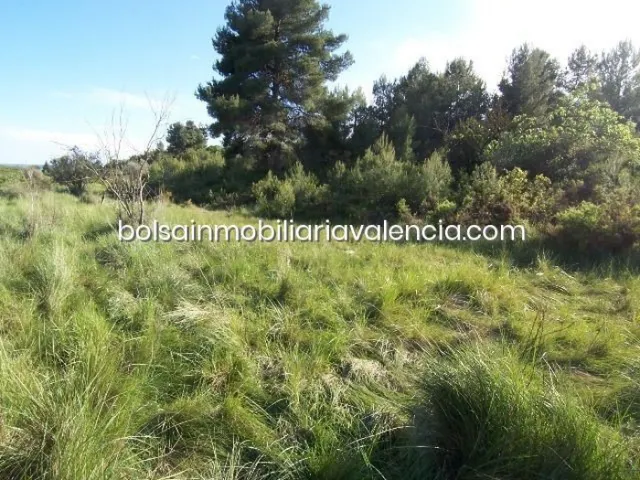 Terreno rural 8000m² en venta - La Raiosa — 9