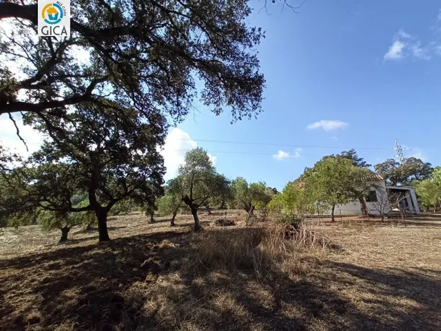CASA CON PARCELA  EN LA SIERRA DE CADIZ -EL BOSQUE — 19