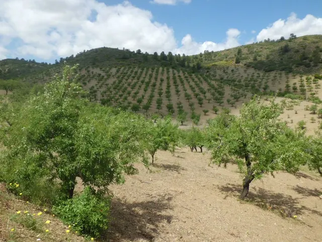 Finca Rústica, LOS GOMEZ, JARALES — 5