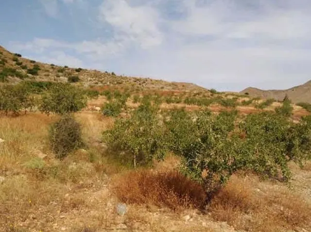 Venta de Terreno en Nº 81 Parcela 363. Paraje Los Simonetes  - foto 5