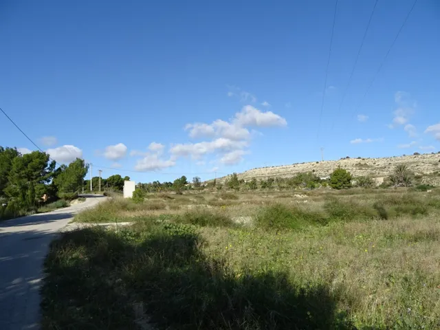 SE VENDE PARCELA DE 20814 M2 CON ALMACÉN DE 45 M2 EN ASPE ZO - foto 5