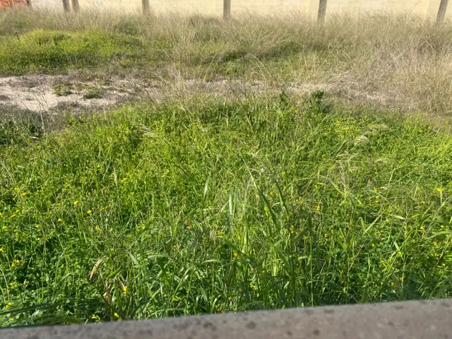 Exclusiva Parcela de 250 metros en La Torreta, Elche — 29
