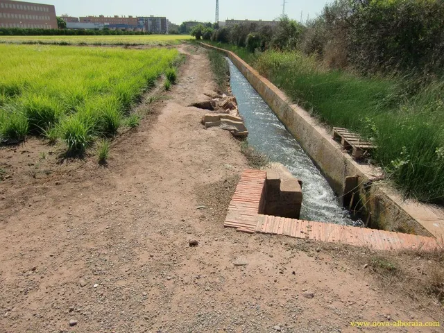 Terreno rural en venta - Huerta — 7