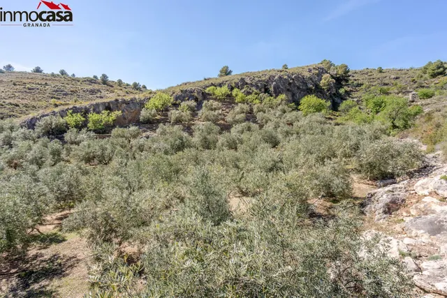 TERRENO EN PINOS DEL VALLE — 15