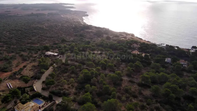 OFERTA 53 PARCELAS EN CALA PI