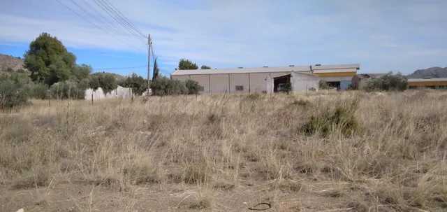 Parcela en venta - Calasparra - foto 3