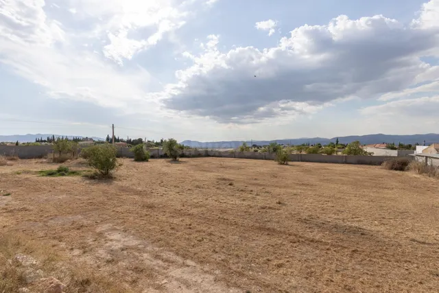 Terreno rural en venta - LOS TABLAZOS - foto 4