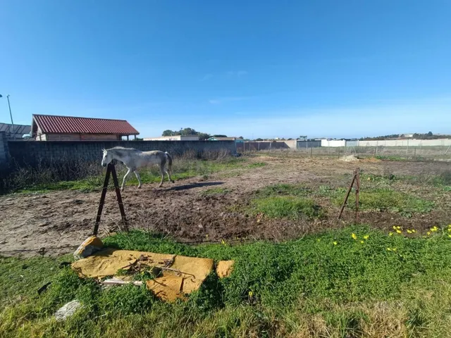 Parcela en zona La Negra - foto 2
