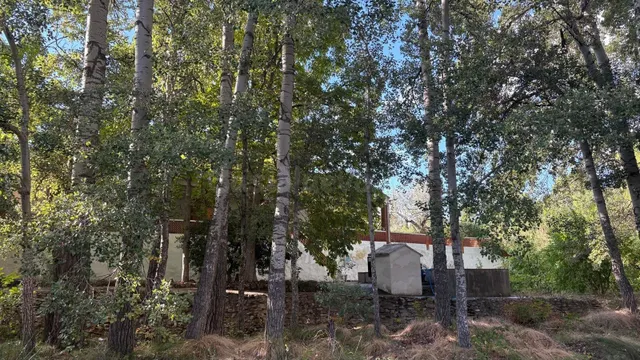 Impresionante Chalet en Almansa con Piscina y en plena Natur - foto 3