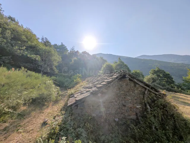 Espectacular finca rustica con cuadra tradiccional — 5
