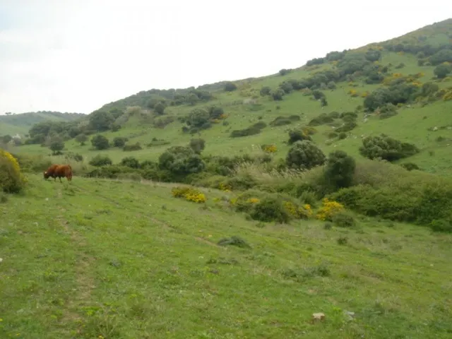 Se vende finca ceca de Tarifa — 5