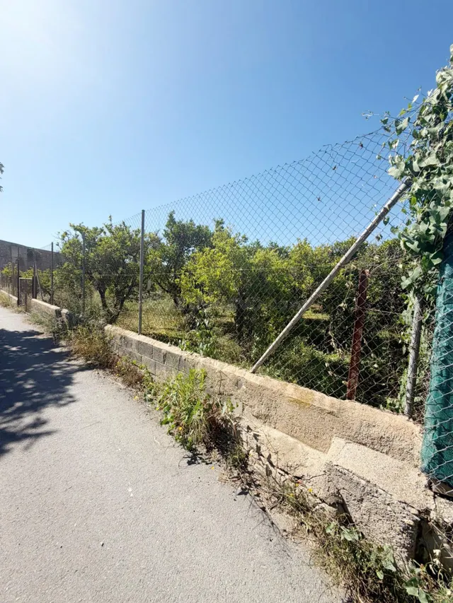 RIOJA Parcela rústica de 4.700 m2 completamente vallada y ac - foto 5