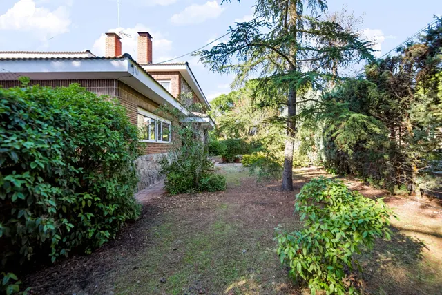 Chalet 4 habitaciones 752m² en venta - El Bosque — 9