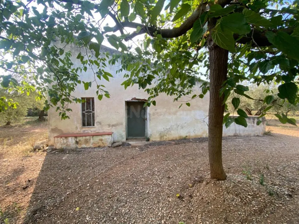 Fantástica finca con casa en la Miliana