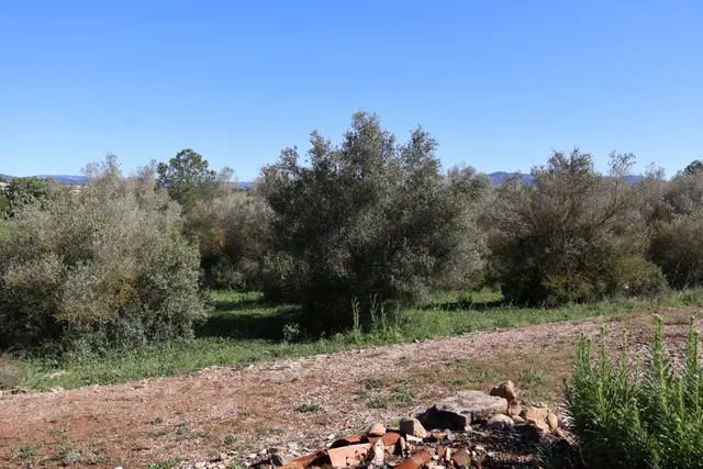 MASIA EN VILAFAMES CON TERRENO — 32