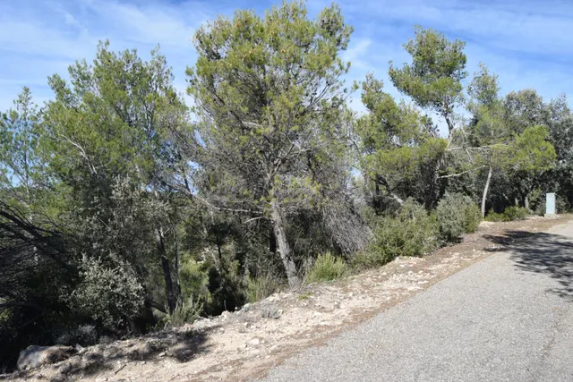 PARCELA CON VISTAS AL VALLE DEL TAJO - foto 5