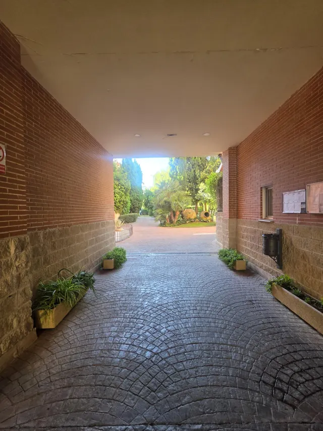 Bajo con terraza — 2