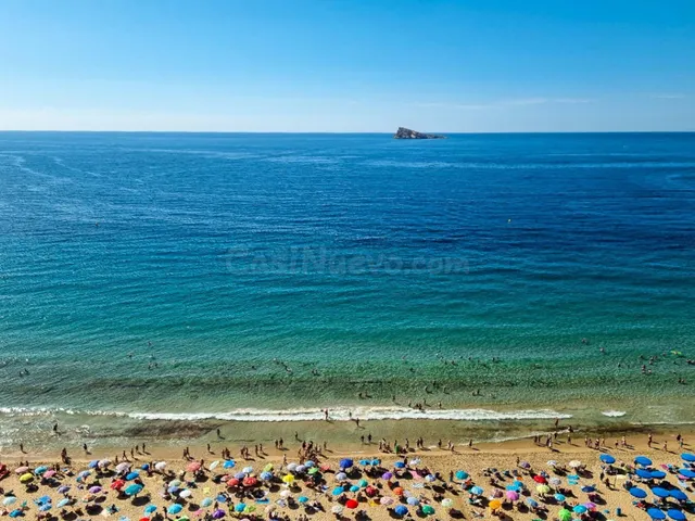 Apartamento 4 habitaciones 253m² en venta - Levante - foto 4