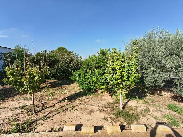 Finca Rústica con Chalet y Piscina en La Palma, Cartagena — 45