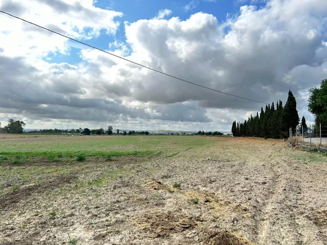 TERRENO EN VENTA CON CASAS, NAVES, TRASTEROS, MAQUINARIA...
