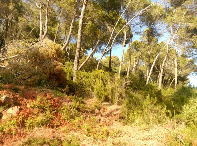 Espectacular terreno que da a dos calles, en Corbera de Llobregat, cerca Hotel Can Fisa. — 15