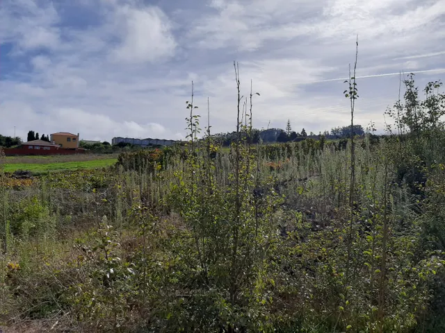 SOLAR URBANO CON FINCA RUSTICA — 16
