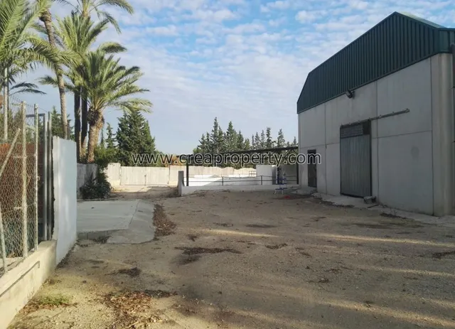 Excelente Finca con caballerizas en El Palmar (Murcia) — 33