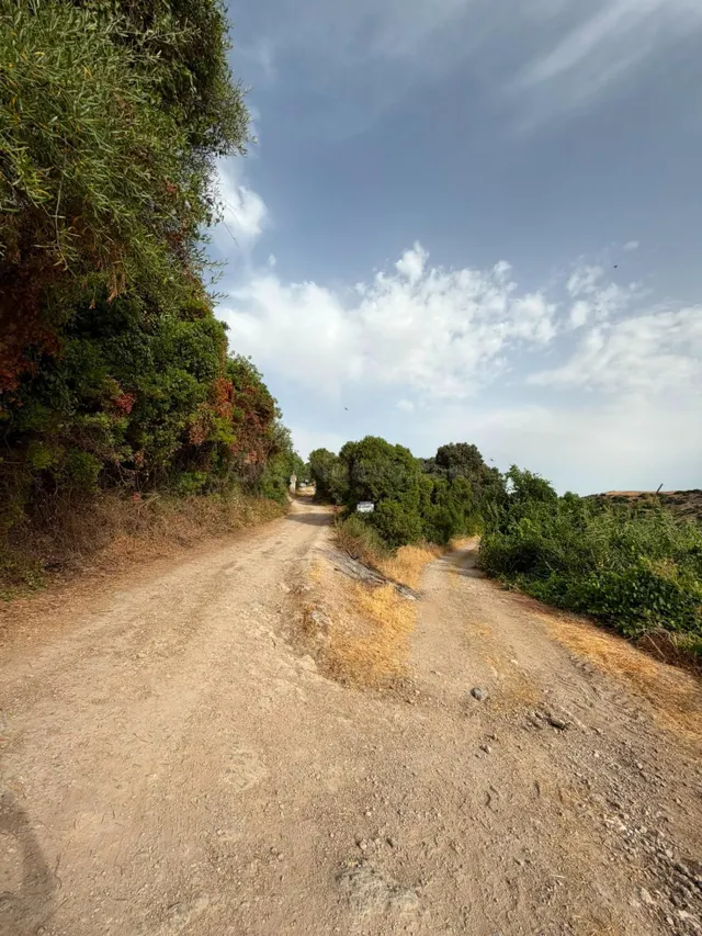 Finca Rústica en La Serena - Oportunidad Única - foto 2